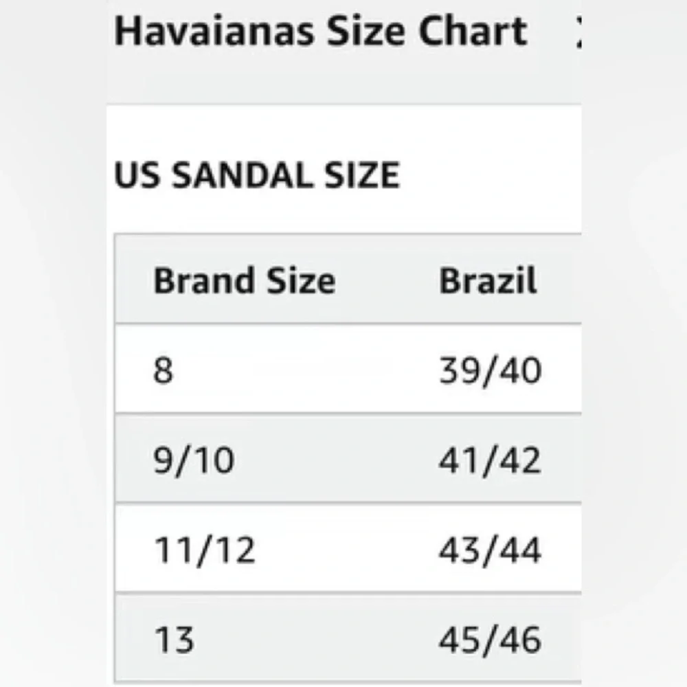 NWOT HAVAIANAS INTERNATIONAL CONSERVATIVE FLIP-FLOP SANDAL, STRAW BEIGE/BLACK